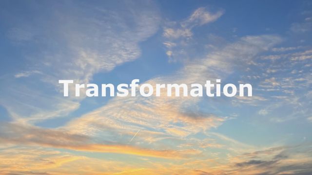 SF209 Transformationsoffenheit